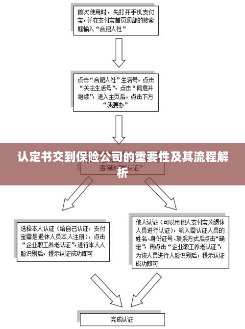 认定书交到保险公司的流程解析与重要性探讨-图1