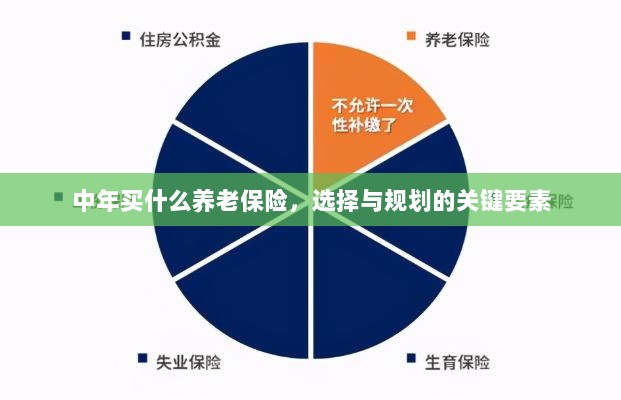 中年养老保险选择与规划的关键要素解析-图1
