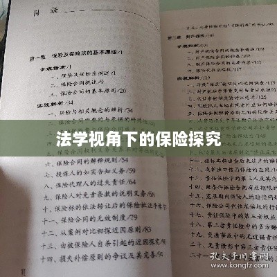 法学视角下的保险探究研究-图1