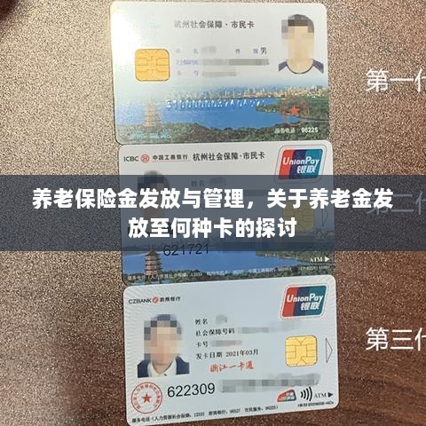 养老保险金发放与管理，关于养老金发放至哪种卡的深度探讨-图1