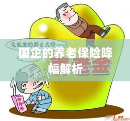 国企养老保险降幅深度解析-图1