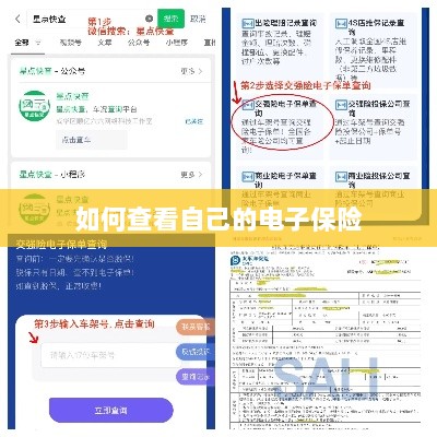 如何查看个人电子保险保单详情-图1