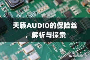 天籁AUDIO保险丝解析与探索-图1