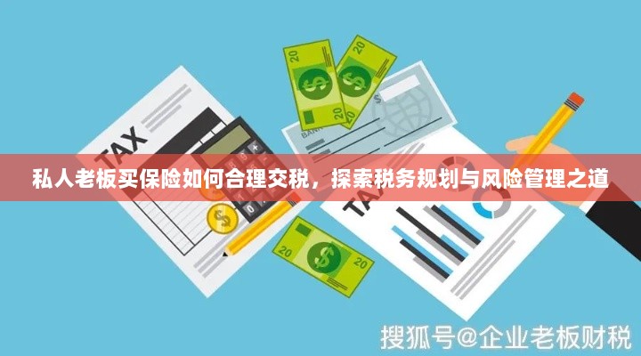 私人老板如何合理交税，保险与税务规划的风险管理之道探索-图1
