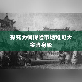 大金险在保险市场难觅踪迹的探究-图1 大金险在保险市场难觅踪迹的探究-图1