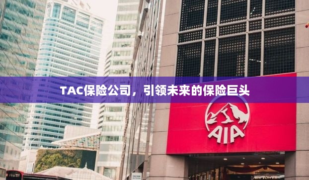 TAC保险公司，引领保险行业未来巨头之路-图1