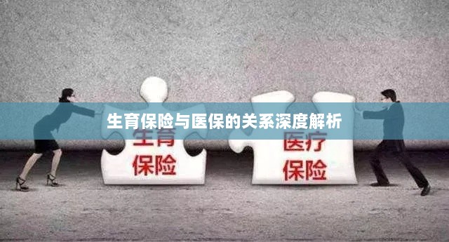 生育保险与医保关系的深度探讨-图1