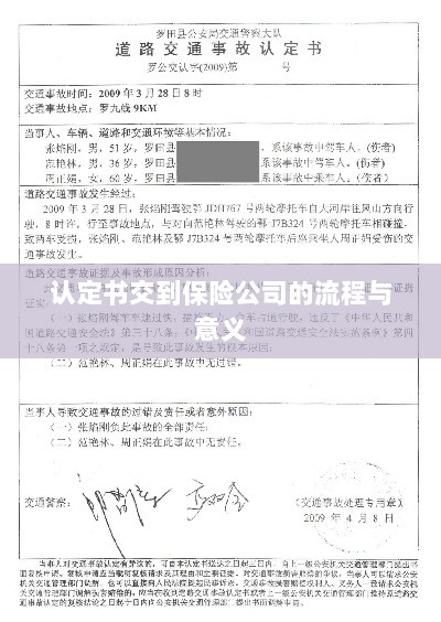 认定书交到保险公司的流程及其意义解析-图1 认定书交到保险公司的流程及其意义解析-图1