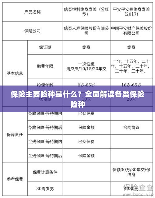 全面解读保险主要险种，各类保险险种介绍与解析-图1