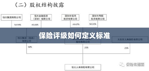 保险评级标准定义解析-图1