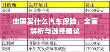 全面解析与选择建议，出国应购买哪些汽车保险？-图1