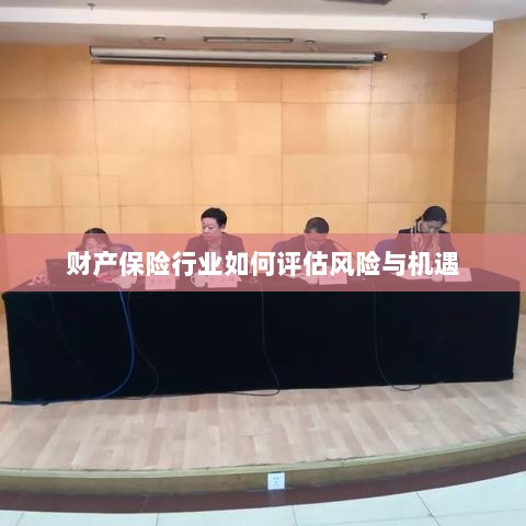 财产保险行业风险与机遇的评估策略-图1