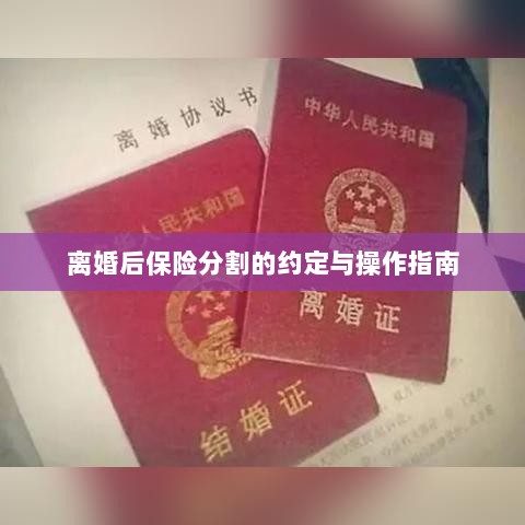 离婚后保险分割，约定与操作指南-图1