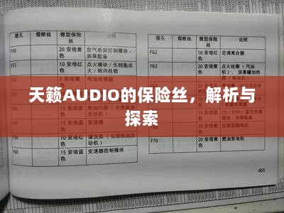 天籁AUDIO保险丝解析与探索-图1 天籁AUDIO保险丝解析与探索-图1