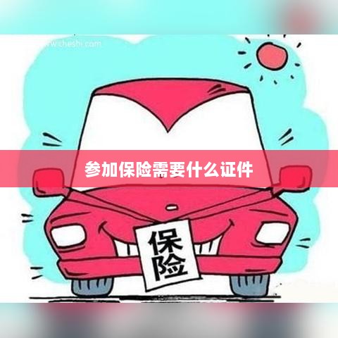 参加保险所需证件概览-图1