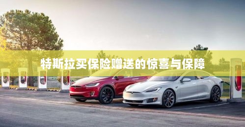 特斯拉保险赠品，惊喜与全方位保障-图1