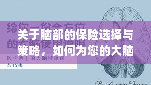 如何选择合适的脑部保险，为您的大脑保驾护航？-图1