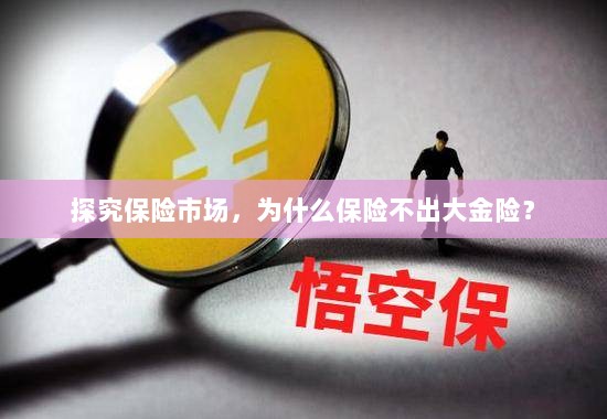 探究保险市场，为何缺乏大额保险金险种？-图1