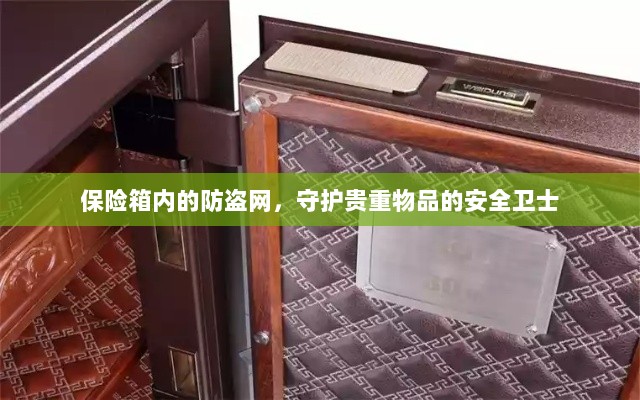 保险箱内防盗网，守护贵重物品的安全屏障-图1