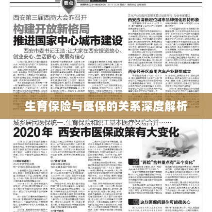 生育保险与医保关系的深度探讨-图1 生育保险与医保关系的深度探讨-图1