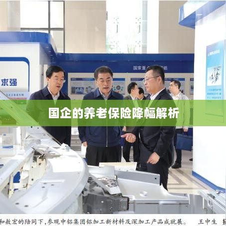 国企养老保险降幅深度解析-图1 国企养老保险降幅深度解析-图1