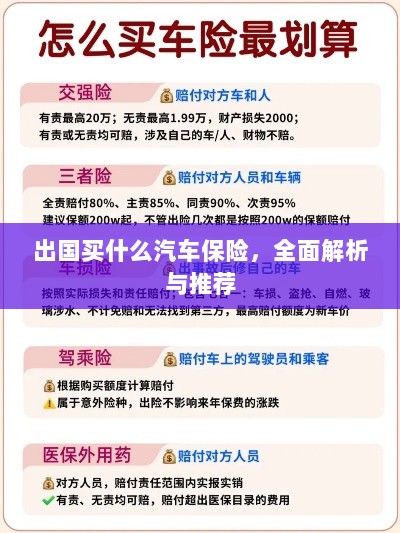 全面解析与推荐，出国应该购买哪些汽车保险？-图1