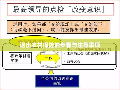 退出农村保险的步骤及注意事项详解-图1