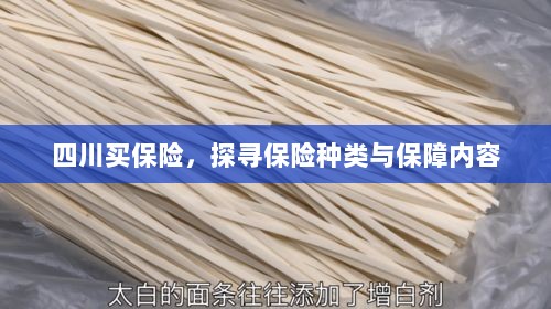 四川保险探秘,种类与保障内容全解析-图1 四川保险探秘,种类与保障内容全解析-图1