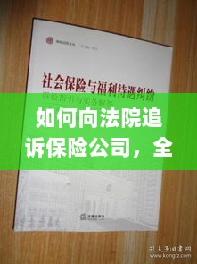 如何向法院追诉保险公司，全面指南解析-图1