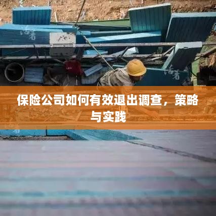 保险公司有效退出调查的策略与实践探讨-图1