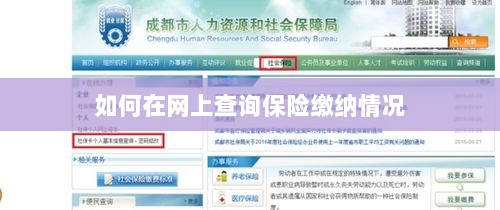 网上查询保险缴纳情况攻略-图1