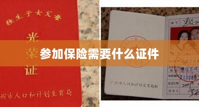参加保险所需证件概览-图1