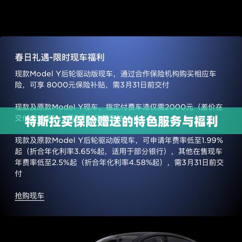 特斯拉保险特惠，独家特色服务与丰厚赠品等你来享-图1
