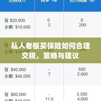 私人老板如何合理购买保险并交税，策略与建议详解-图1
