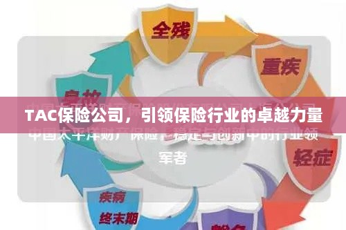 TAC保险公司，引领保险行业的翘楚力量-图1