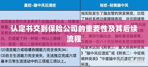认定书对保险公司的重要性及后续流程详解-图1