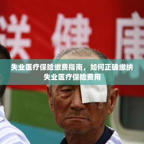 失业医疗保险缴费详解,如何正确缴纳费用指南-图1 失业医疗保险缴费详解,如何正确缴纳费用指南-图1