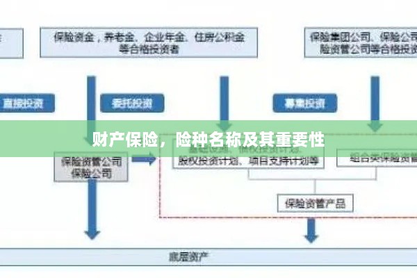 财产保险,险种名称及其重要性概览-图1 财产保险,险种名称及其重要性概览-图1