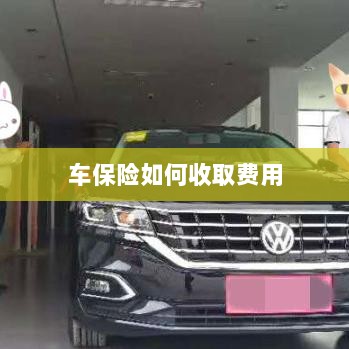 车保险费用收取详解-图1