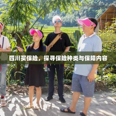 四川保险探秘，种类与保障内容全解析-图1