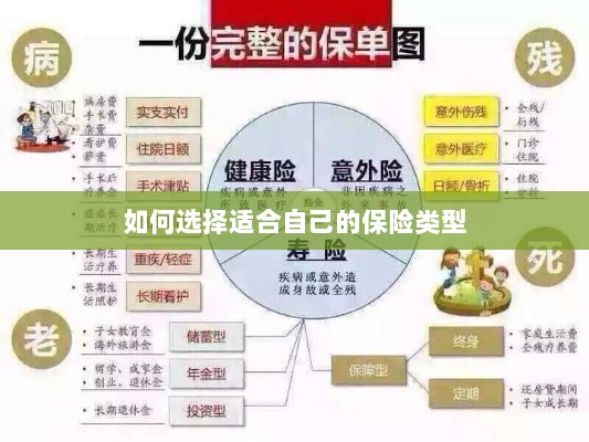 如何选择适合自己的保险类型，投保指南与策略建议-图1