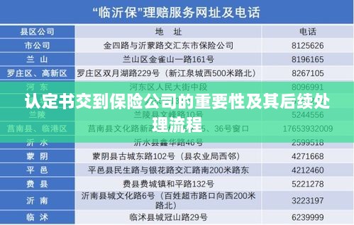 认定书对保险公司的重要性及后续处理流程详解-图1 认定书对保险公司的重要性及后续处理流程详解-图1
