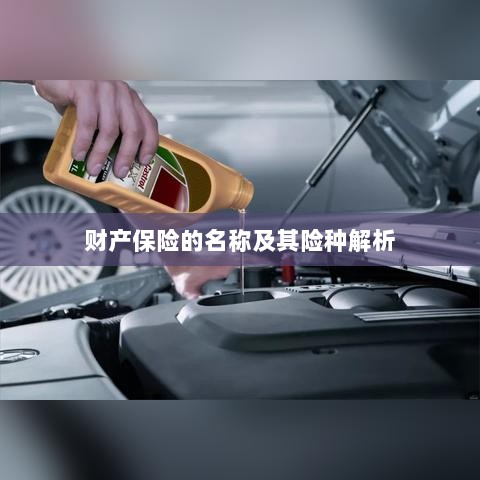财产保险名称及险种深度解析-图1