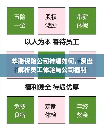 华瑞保险公司员工待遇与福利深度解析-图1