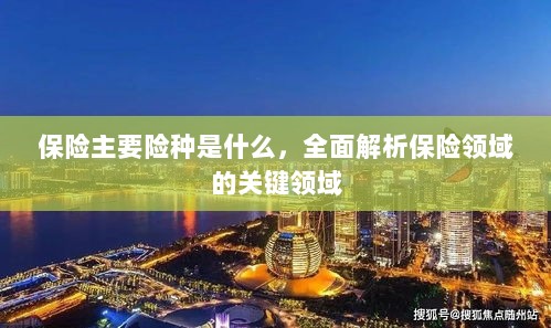 全面解析保险领域关键领域，主要险种介绍与概述-图1