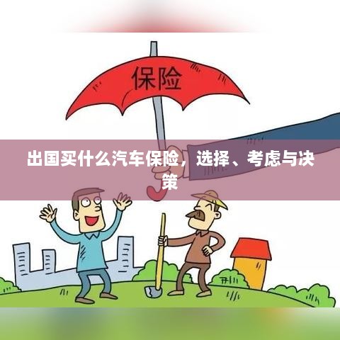 出国购车保险指南，选择、考虑与决策要素-图1