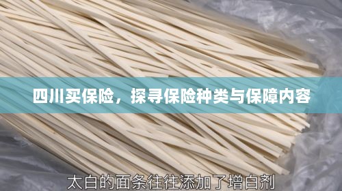四川保险探秘,种类与保障内容全解析-图1 四川保险探秘,种类与保障内容全解析-图1