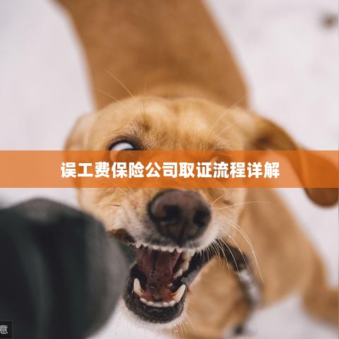 保险公司误工费取证流程详解-图1 保险公司误工费取证流程详解-图1
