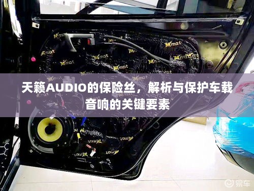 天籁AUDIO保险丝，解析与保护车载音响的核心要素-图1