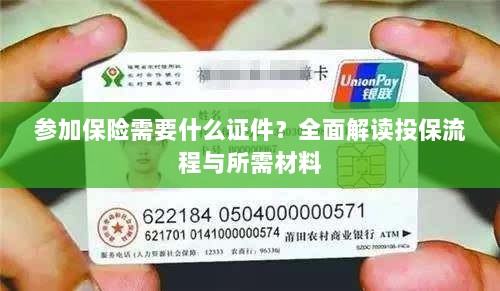 投保全攻略，保险所需证件及流程详解-图1